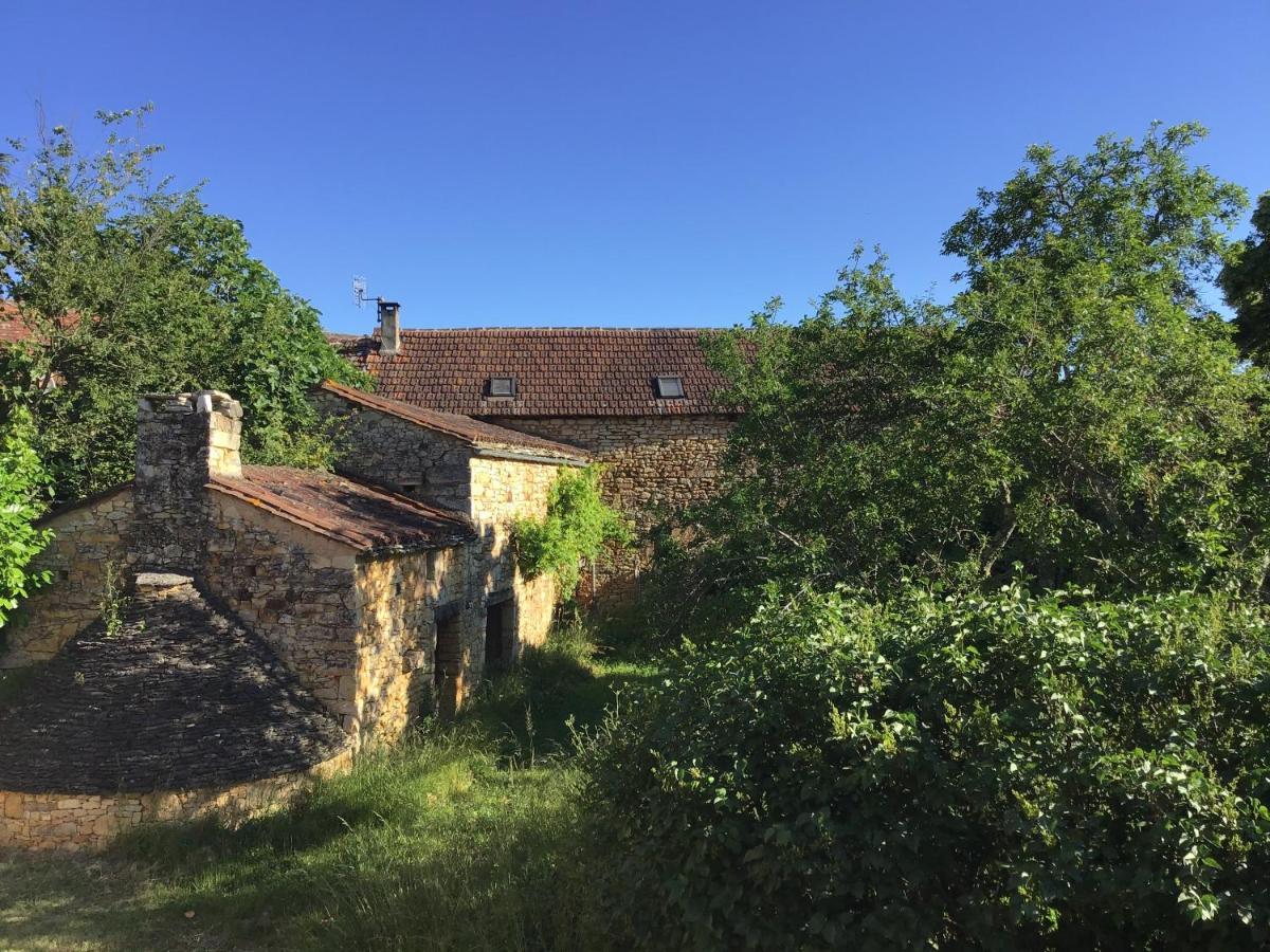 Ferienwohnung Les Temps Des Sources Veyrines-de-Domme Exterior foto